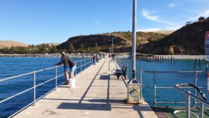 Rapid Bay - jetty